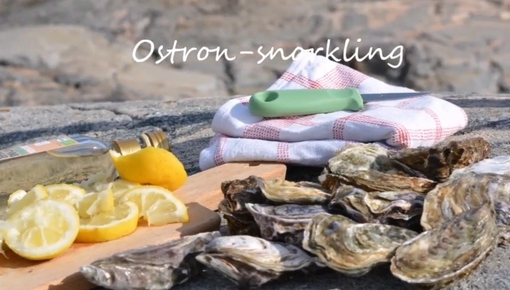 Ostron-snorkling